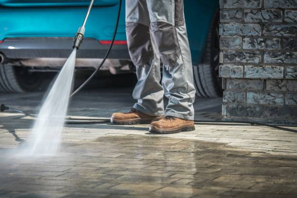 Best Graffiti Removal  in Park Forest, IL