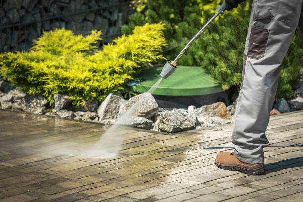 Best Boat and Dock Cleaning  in Park Forest, IL