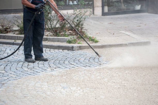 Best Sign and Awning Cleaning  in Park Forest, IL