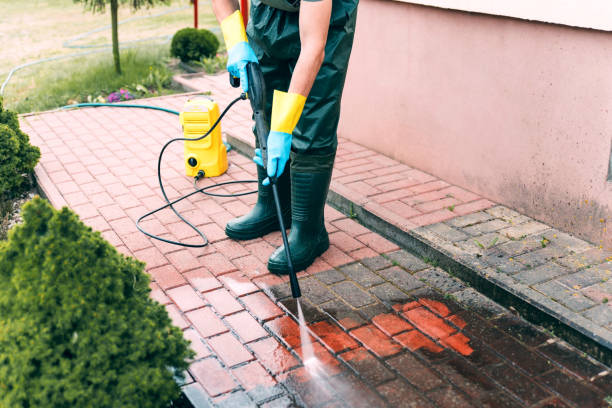 Best House Exterior Washing  in Park Forest, IL