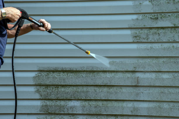Best Roof Washing  in Park Forest, IL