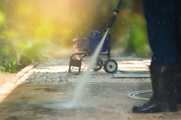 Best Driveway Pressure Washing  in Park Forest, IL